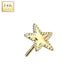 14kt Gold Threadless Pinched Star Top