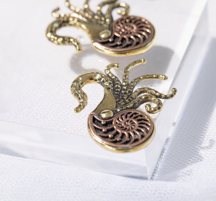 Brass Nautilus Ear Weights PAIR