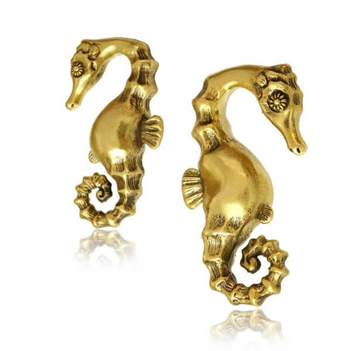 Brass Seahorse Ear Weights PAIR