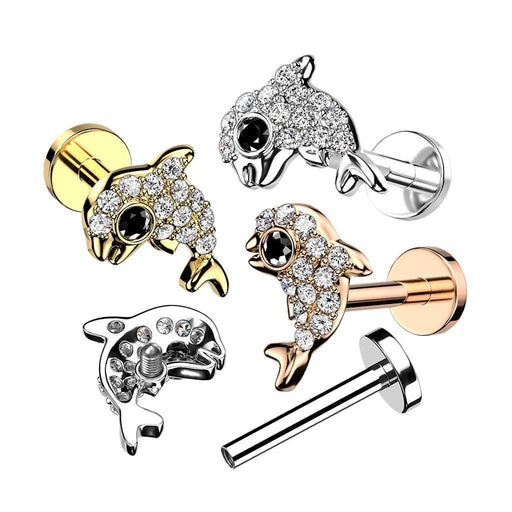 Paved Dolphin I.T. Labret 16G