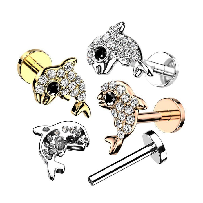 Paved Dolphin I.T. Labret 16G