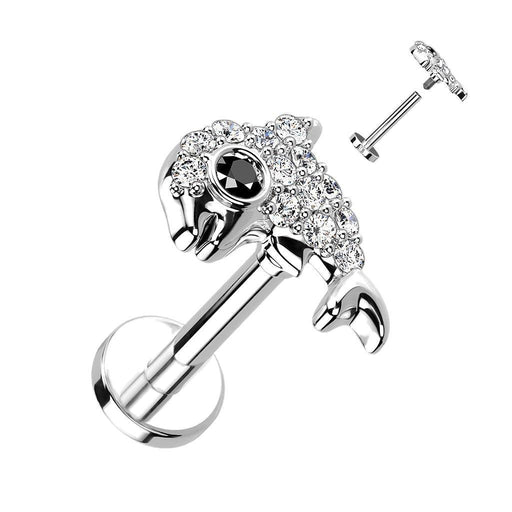Paved Dolphin I.T. Labret 16G