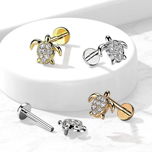 Paved Turtle I.T. Labret 16G