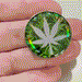 Pot Leaf Hologram Screw Fit Tunnel