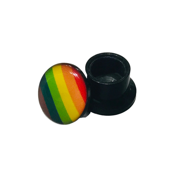 Pride Acrylic Plug