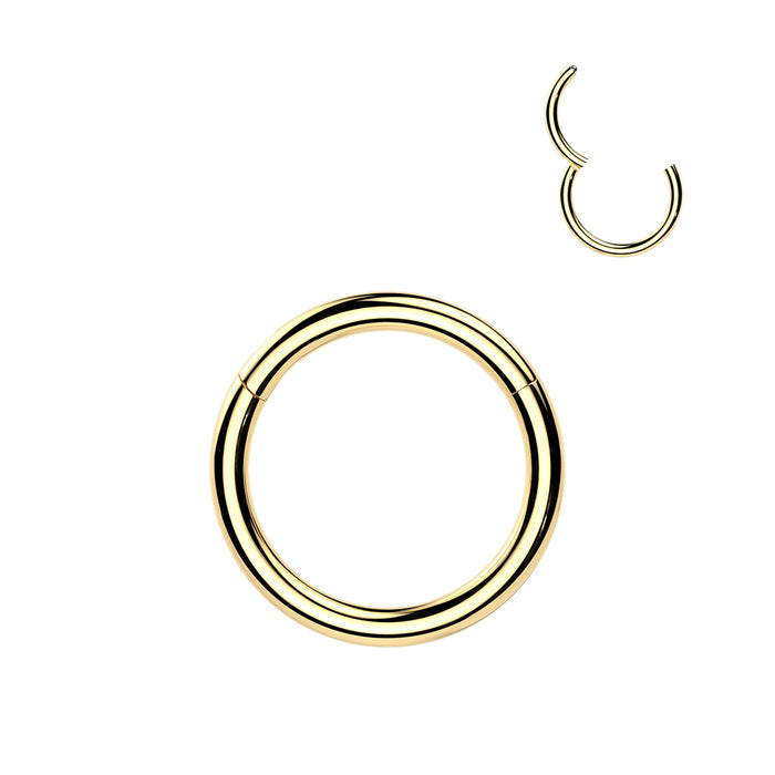 24kt Gold Plated Titanium Hinged Ring