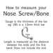 Surgical Steel Nose Bone 20G 18G