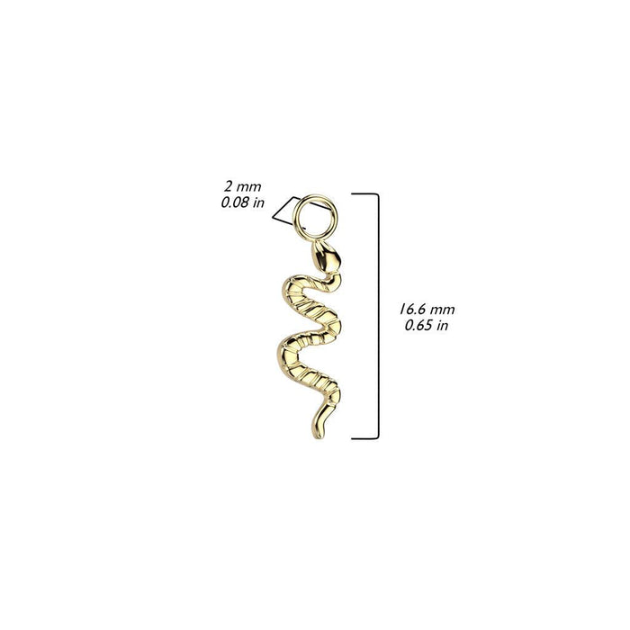 Titanium Charm Dangle