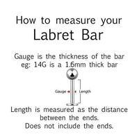 Titanium Multi Gem Cluster Labret CLEAR