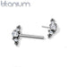 Titanium Threadless Cluster Nipple Bar 14G