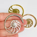 Body Jewelry - Shell Fossil Ear Weight PAIR