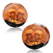 Body Jewelry - Skulls Epoxy And Wood Plug 12mm-25mm