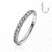 Body Jewelry - Titanium Side Paved Hinged Ring 18G 16G