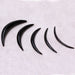 Buffalo Horn Septum Tusk in various sizes