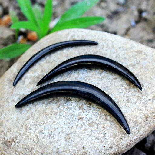 Buffalo Horn Septum Tusk in various sizes, on rock background