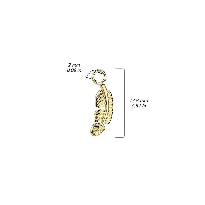 Body Jewelry - Titanium Charm Dangle